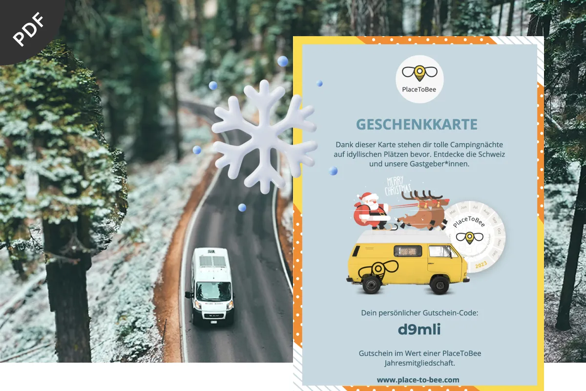 Weihnachtsgutschein
